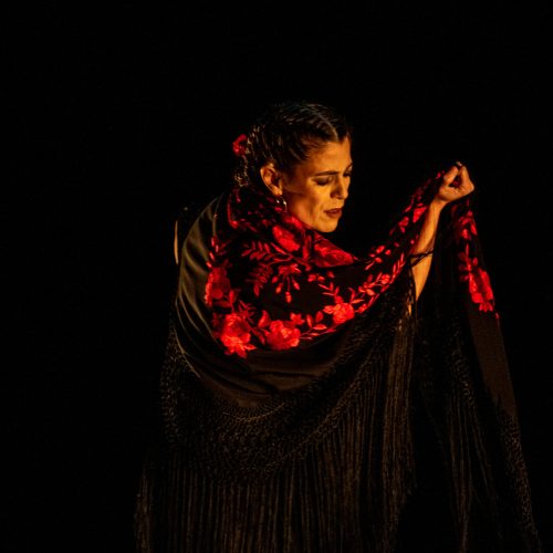 IMG_0978 - Liat Harlev