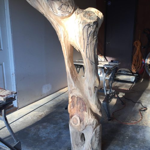 IMG_3809 - Peter Lattey