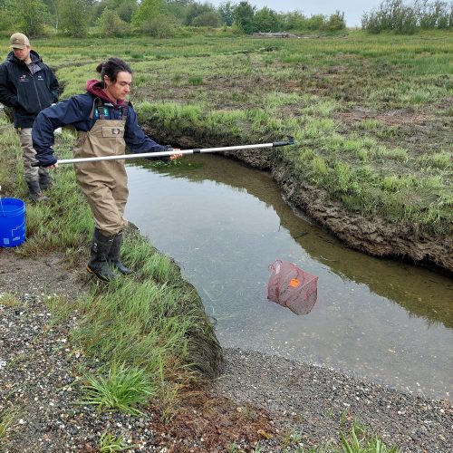 Ralph_Joshua_BTS1 - Joshua Ralph