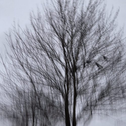 Rijal_Bicam_Steel Crreek, Burnaby_ICM - Bicram Rijal