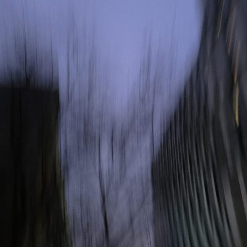 Rijal_Bicram_SFU Burnaby_ICM - Bicram Rijal