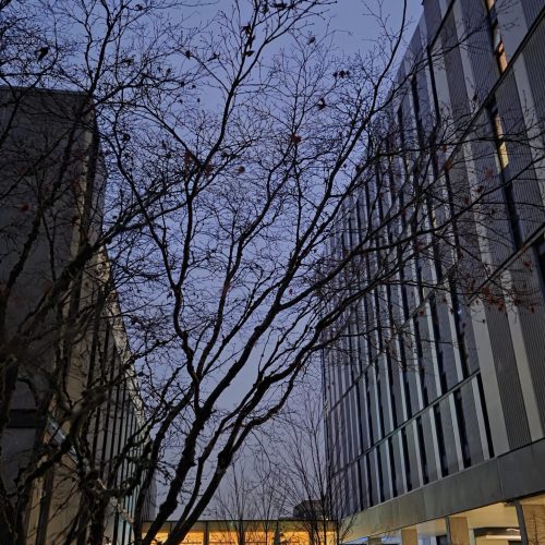 Rijal_Bicram_SFU Burnaby_Normal - Bicram Rijal