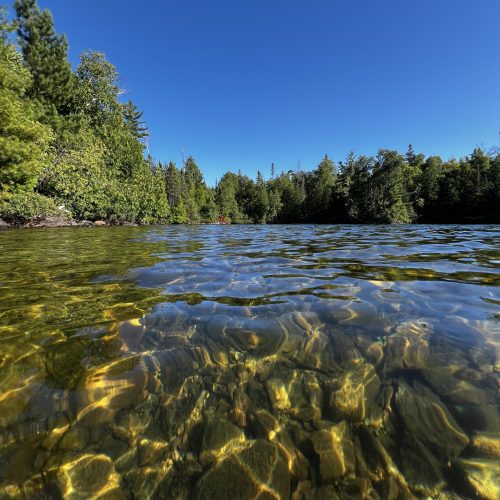 Ross_Sara_Water1 - Red Sara