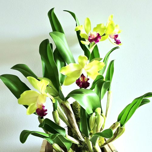 att.2FQftPS6XaHF4XJJgXWIwBMRpciEZNcEPTU5RLGea9g - KC CLAY FLOWERS