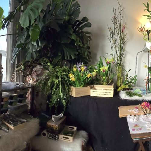 att.LLIdfoyIfYBlci_E608DT-NbhY1n_EIpQ2RxZ5XBEV8 - KC CLAY FLOWERS