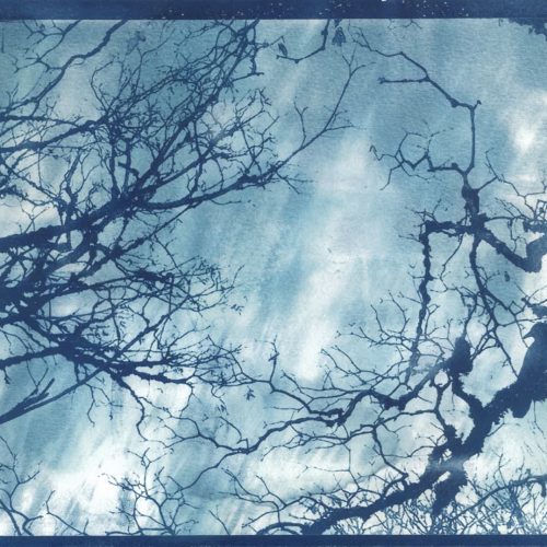 goel_sana_senses - Goel School