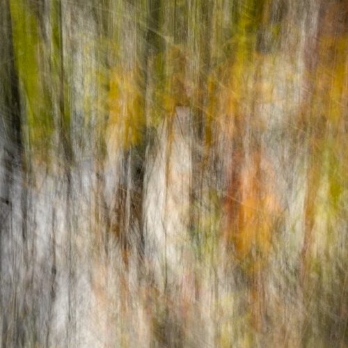 jillian_chateauneuf_lake - Jillian Chateauneuf